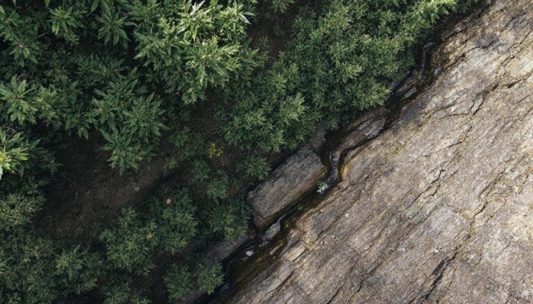 scopri 10 piccoli momenti dell'infanzia che mostrano quanto sei stato davvero amato, ricordi dolci e significativi che riscaldano il cuore.